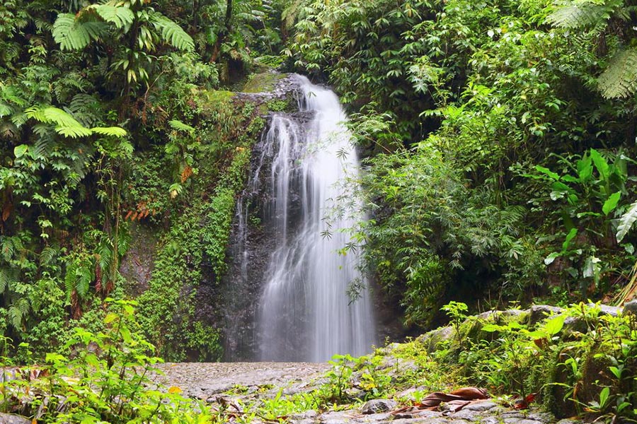 Cascade Martinique